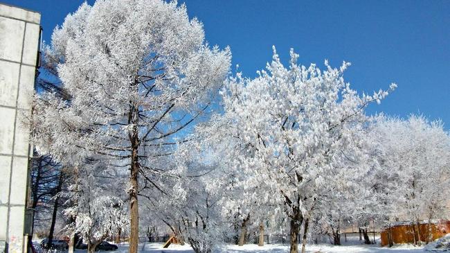 Температурный рекорд. 40-градусные морозы придут на Южный Урал