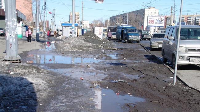 Жителей Челябинска призывают отмечать дорожные ямы и грязные дворы на интерактивной карте
