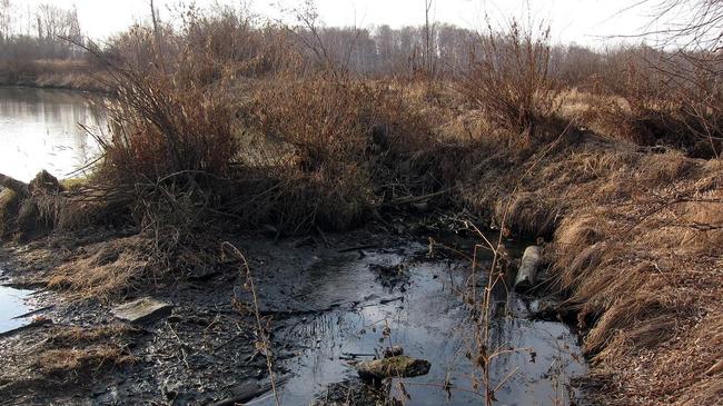 Экологи нашли виновника масштабного загрязнения реки в Челябинске