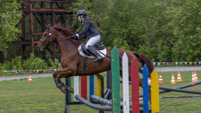 Конкур, выездка и акробатика на лошади: в Челябинске прошло первенство города по конному спорту 