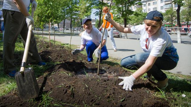 На площади Павших революционеров в Челябинске высадят деревья и кустарники