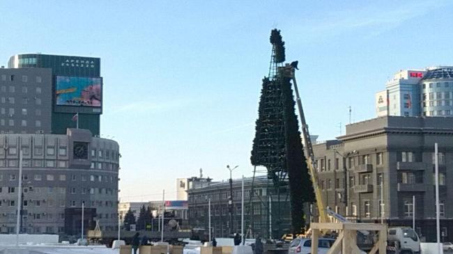 На главной площади Челябинска начали возводить новогоднюю елку