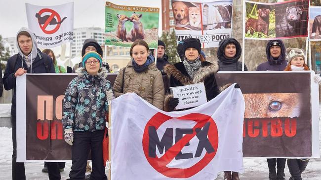 В Челябинске пройдет 10 пикетов в защиту пушных зверей