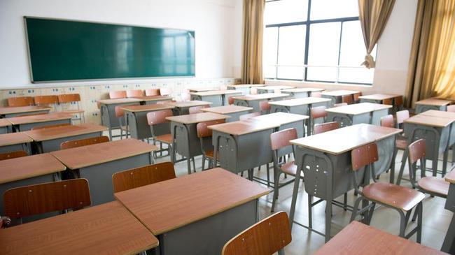  Две школы в Челябинской области приостановили занятия из-за ОРВИ