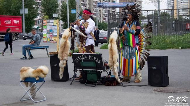 Уличный концерт группы, исполняющей традиционную музыку Эквадора "Yawar Huauqui"