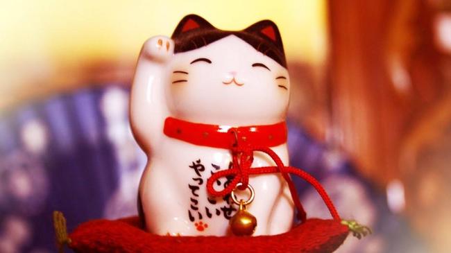 В Челябинске откроется выставка японских котиков