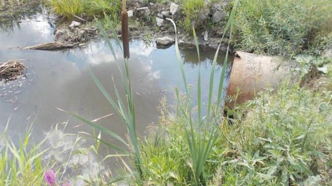 ⚡Гидрологи поддержали требования экологических активистов по восстановлению озера Б. Кисегач 👍 