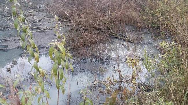 Челябинские экологи обнаружили зловонный ручей в черте города