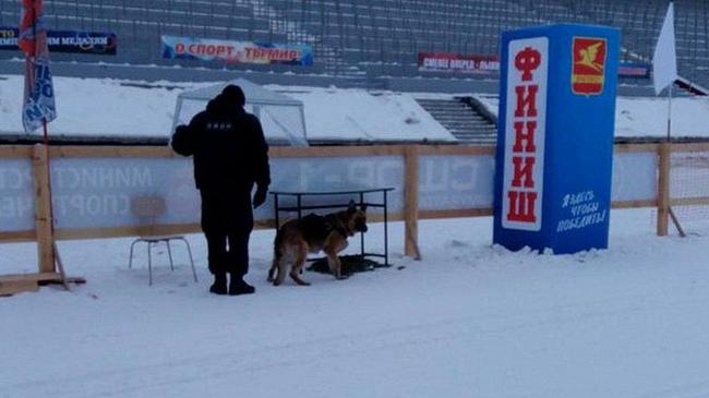 Росгвардия обеспечивает безопасность «Лыжни России-2018» на Южном Урале 
