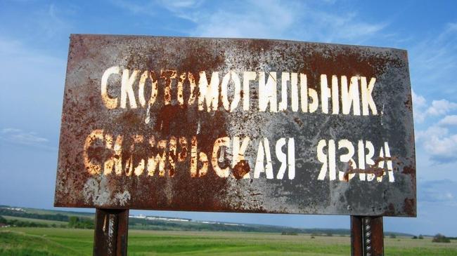 Челябинский минсельхоз прояснил судьбу опасных скотомогильников 