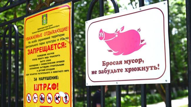 Евгений Тефтелев призвал бороться с мусором с помощью плакатов