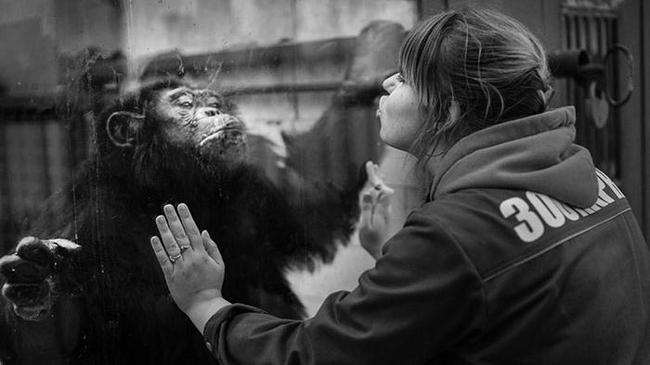 Фоторепортаж о Челябинском зоопарке собрал в интернете тысячи посетителей
