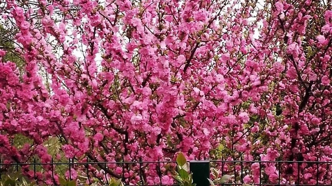 😍 Весна царит в Ботаническом саду ЧелГУ. Суслик особенно красив! 