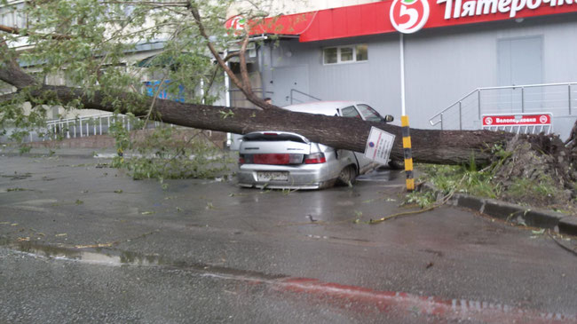 Ураган в Челябинске: что делать, если на машину рухнуло дерево 