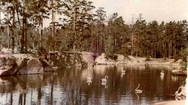 Лебеди в Парке Гагарина, 1960-е годы