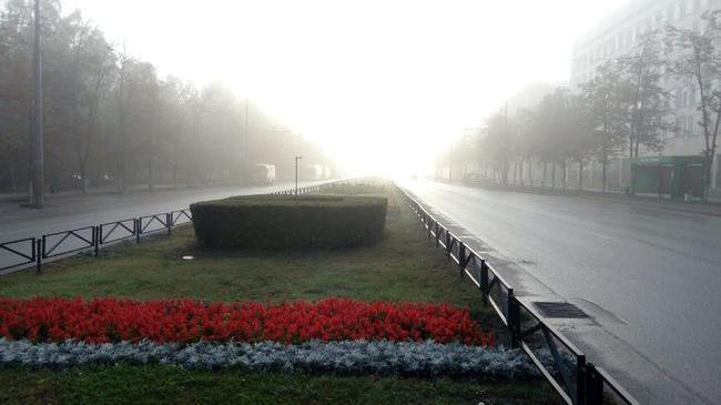«А туман ли это?»: в Минэкологии рассказали, что за дымка накрыла Челябинск