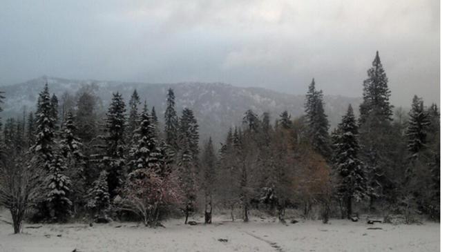 На Южном Урале прошел первый снег. Автомобилисты устраивают под Златоустом снежные селфи 