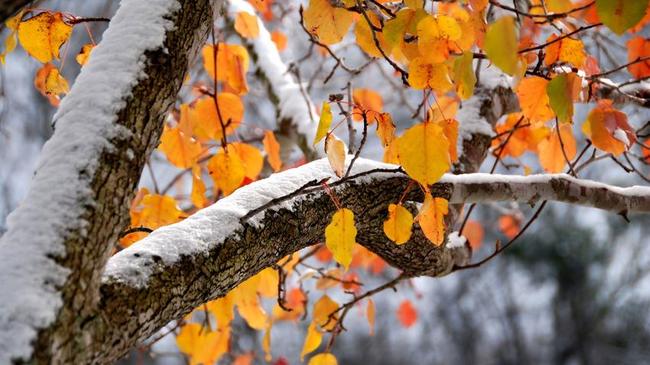 Первые снегопады Челябинск накроют в конце октября