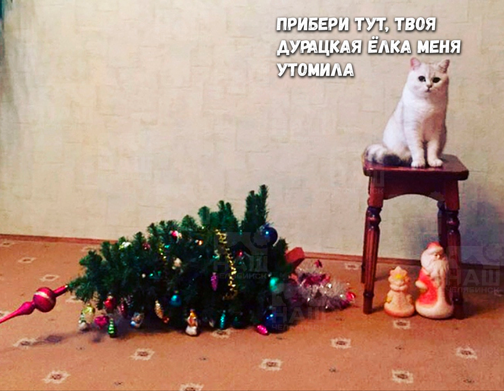 13 Дней Нового Года