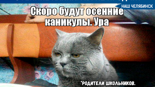 🍁📚 В оперштабе Челябинской области объявили решение по поводу осенних каникул школьников