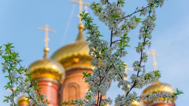 Доброе утро,друзья ☕️ Кто уже был на улице, расскажите,как там? ☀️ 