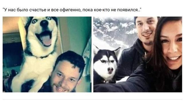 Выражение мордахи - бесценно! 😄