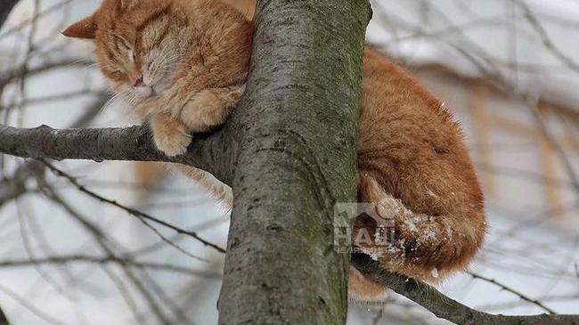 ☀️ В Челябинской области ожидается потепление до +4°С