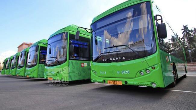 🚌 На маршруты №8 и 64 выйдут новые автобусы