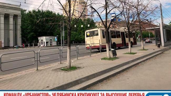 🌳 Команду «урбанистов» Челябинска критикуют за высохшие деревья