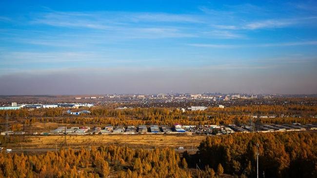 Формальдегид и фенол: замеры воздуха в Челябинске показали превышение вредных веществ в разы
