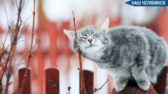 ☀️ Вторая декада марта закончится аномально теплой погодой