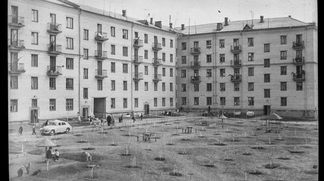 ЧМЗ, двор Коммунистическая, 9 и Дегтярёва, 47 -  1958 год.  Как мы видим, весь двор в саженцах! 