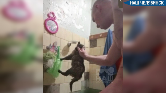 😱 Челябинец издевался над кошкой в прямом эфире?