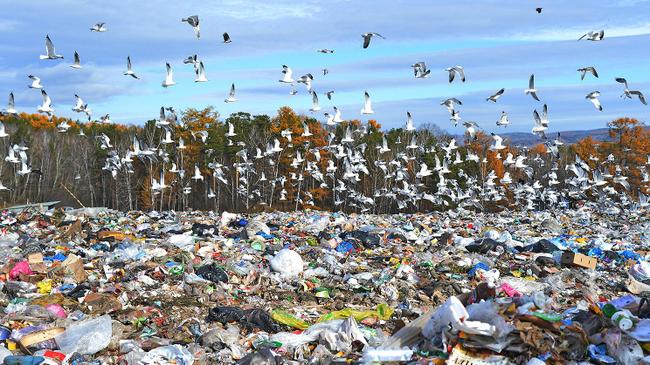 Закрытие свалки: Челябинску не грозит мусорный коллапс‍