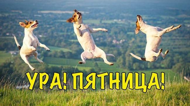 Доброе утро, дорогие челябинцы! Всех с пятницей🤗