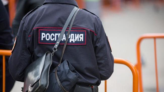 «Гулял с собакой, нашёл труп»: в Челябинске убили и сожгли женщину