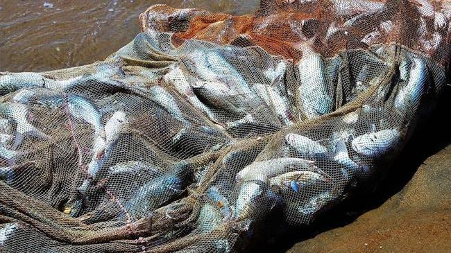 🐟Останется ли рыба в озере Малый Кисегач? 