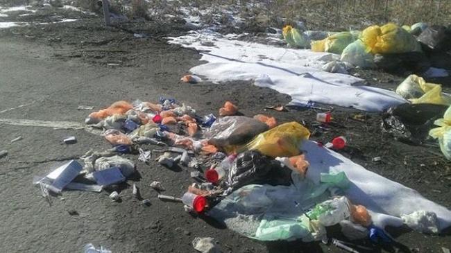 Сотни шприцов и пробирок с кровью: в Челябинской области у дороги найдены мешки с медицинскими отходами