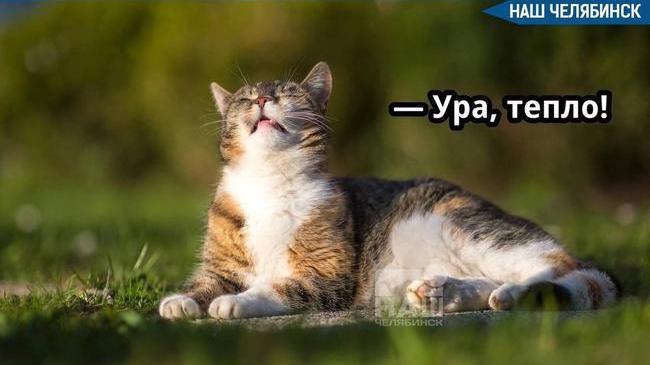 ☀️ В Челябинской области в пятницу ожидается потепление до +18 градусов