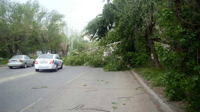 Обрушившийся на Челябинск шторм повалил деревья 