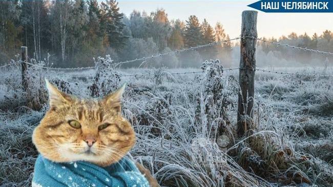 🌨 Синоптики прогнозируют сильные осадки и гололед