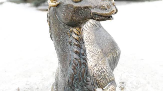 Красивый малыш-верблюд из всем знакомой скульптуры на Кировке ☺