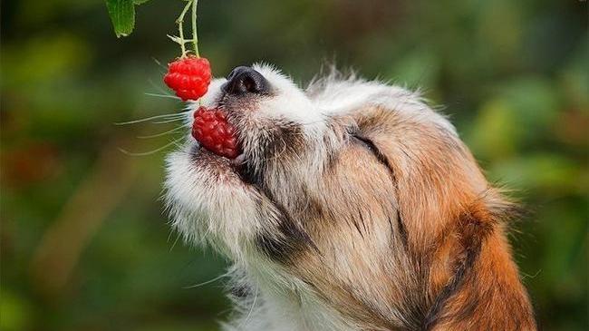 Наслаждайтесь летом, осень близко🍂