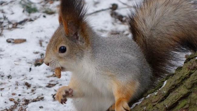 Посмотрите какую красавицу встретил в лесу 😍
