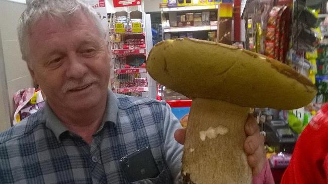 Житель Златоуста нашел в лесу огромный гриб