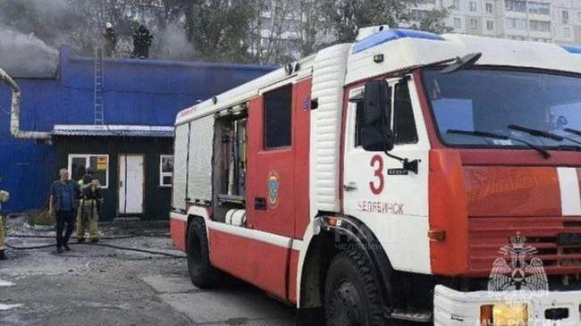 🔥 Тополиный пух стал причиной пожара в Челябинске
