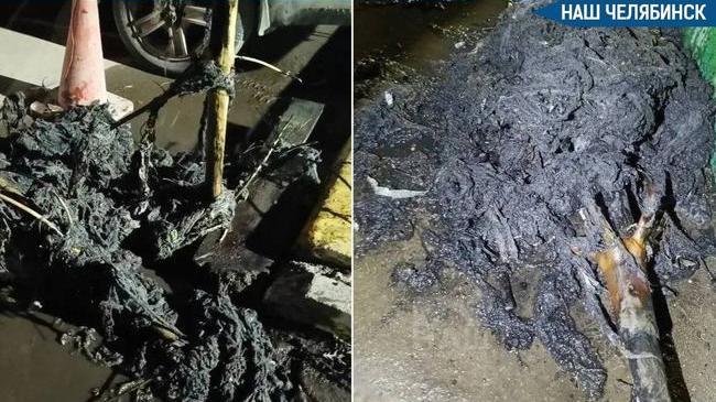 🎄 Необычная находка: из-за новогодней елки произошел засор в коллекторе