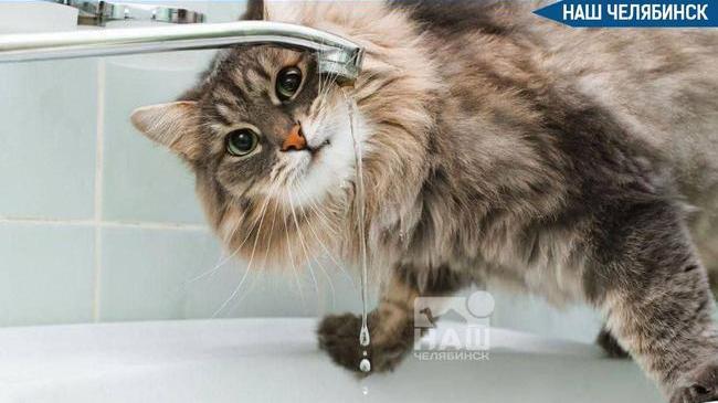 💦 На «Северке» сотня многоэтажных домов осталась без водоснабжения
