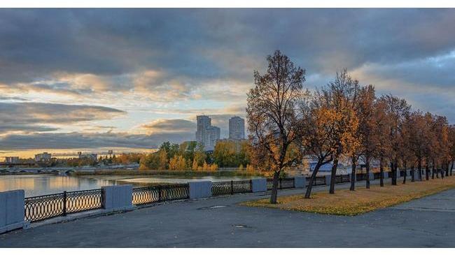 Доброе утро ☀️ Хороших выходных 😺