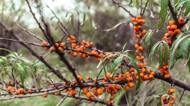 Доброе утро, Челябинск ☕️